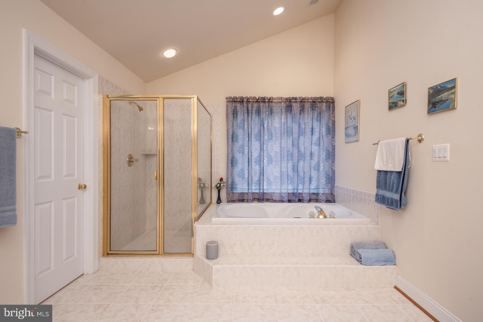 7466 Lower Waterloo Road Warrenton, VA 20186 - Photo 15 of 31 Soaking tub and separate shower