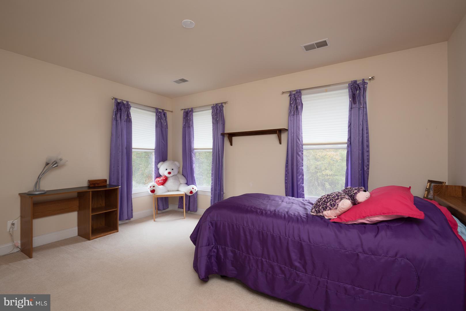 7466 Lower Waterloo Road Warrenton, VA 20186 - Photo 20 of 31 3rd Bedroom with shared bath