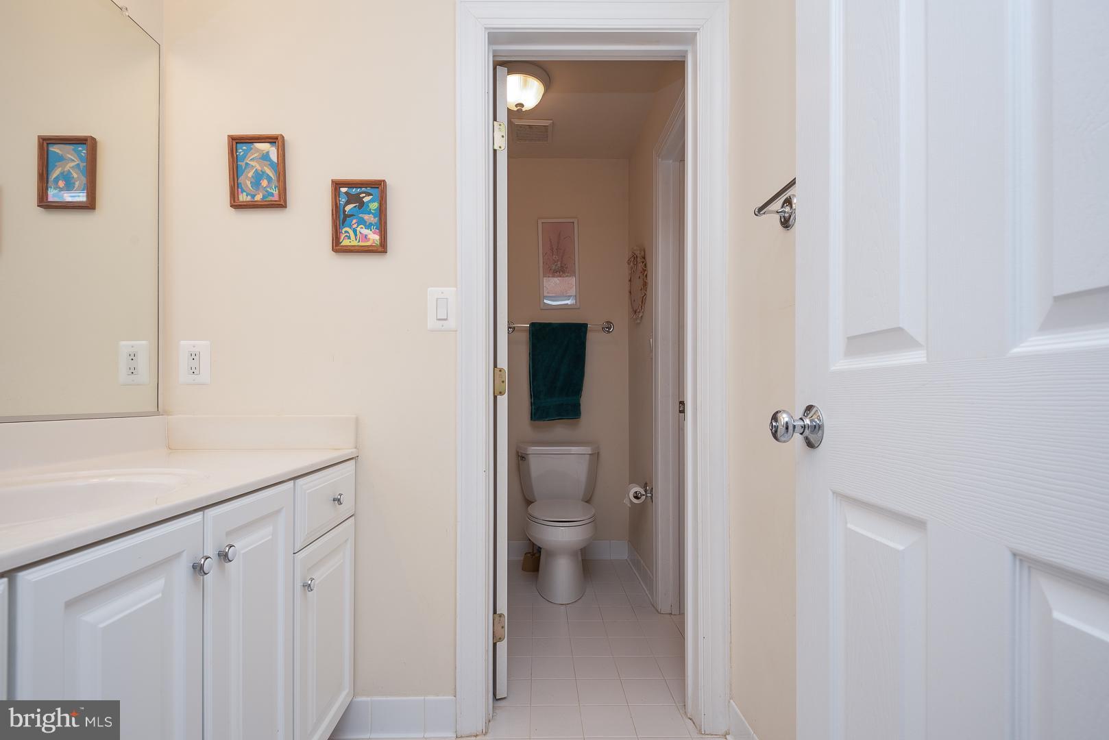 7466 Lower Waterloo Road Warrenton, VA 20186 - Photo 21 of 31 shared Bath with separate sections