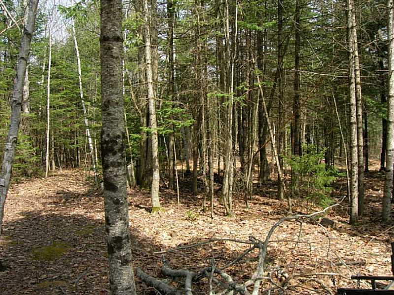 456 Post Road Bowdoinham, ME 04008 - Photo 12 of 18 Land/Lot.