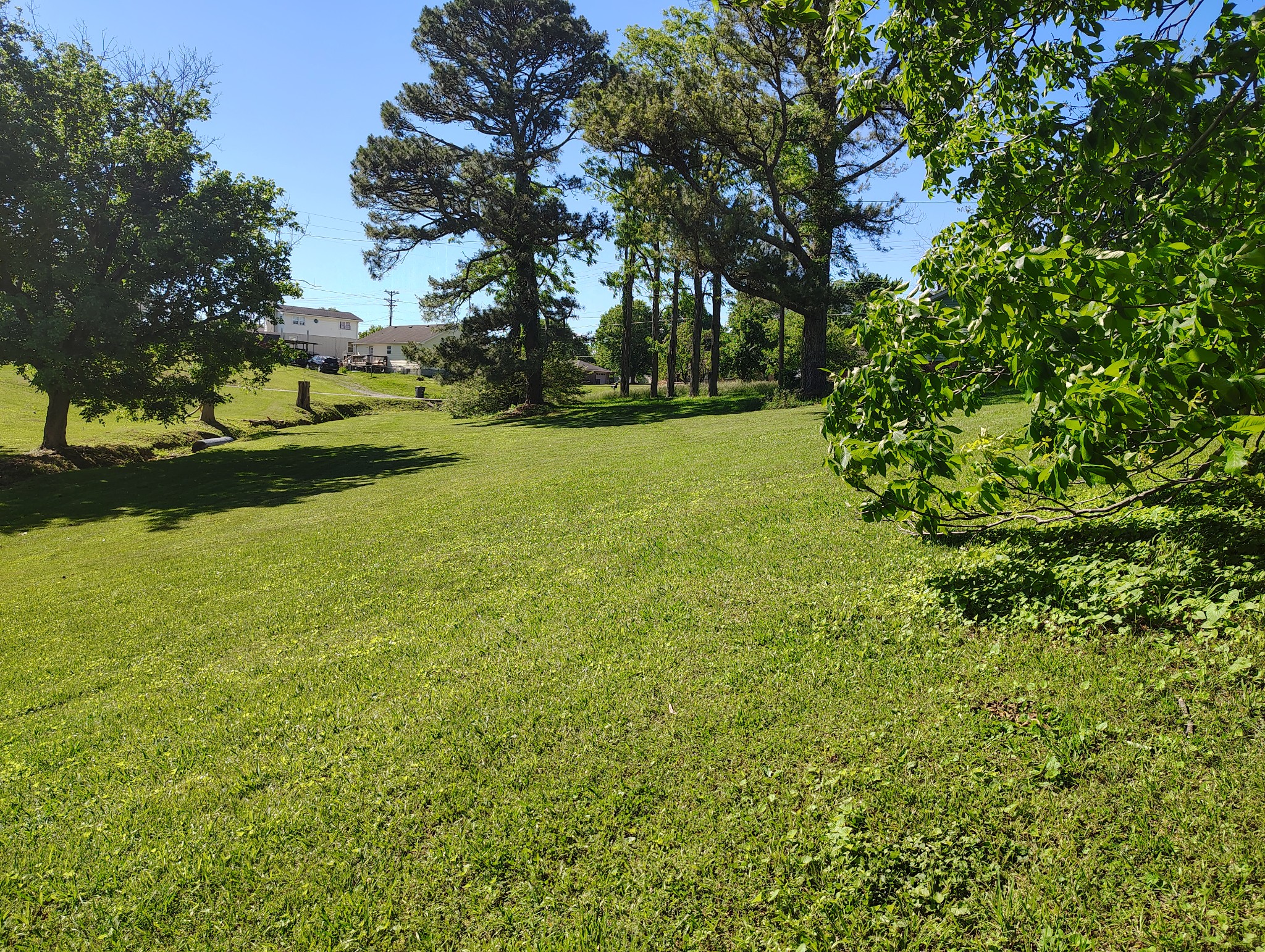0 Short Street Lafayette, TN 37083 - Photo 5 of 6 a view of yard with green space