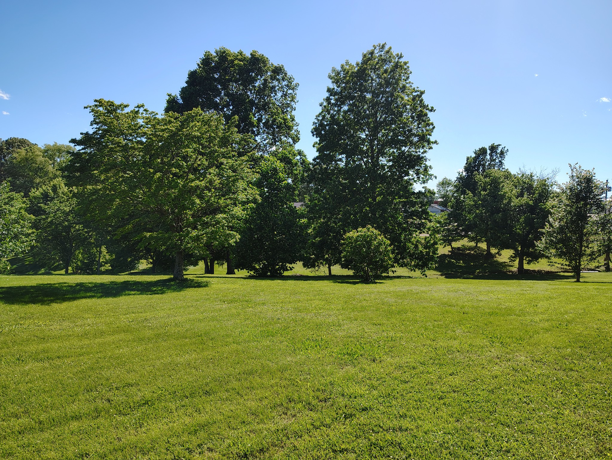 0 Short Street Lafayette, TN 37083 - Photo 6 of 6 a view of a field with trees in the background