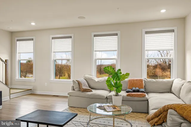 a living room with furniture and a potted plant