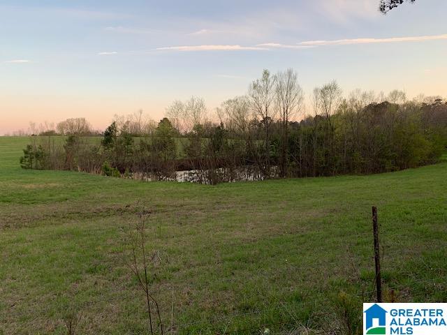 29 Highway Oneonta Al, Unit 70 Oneonta, AL 35121 - Photo 6 of 10