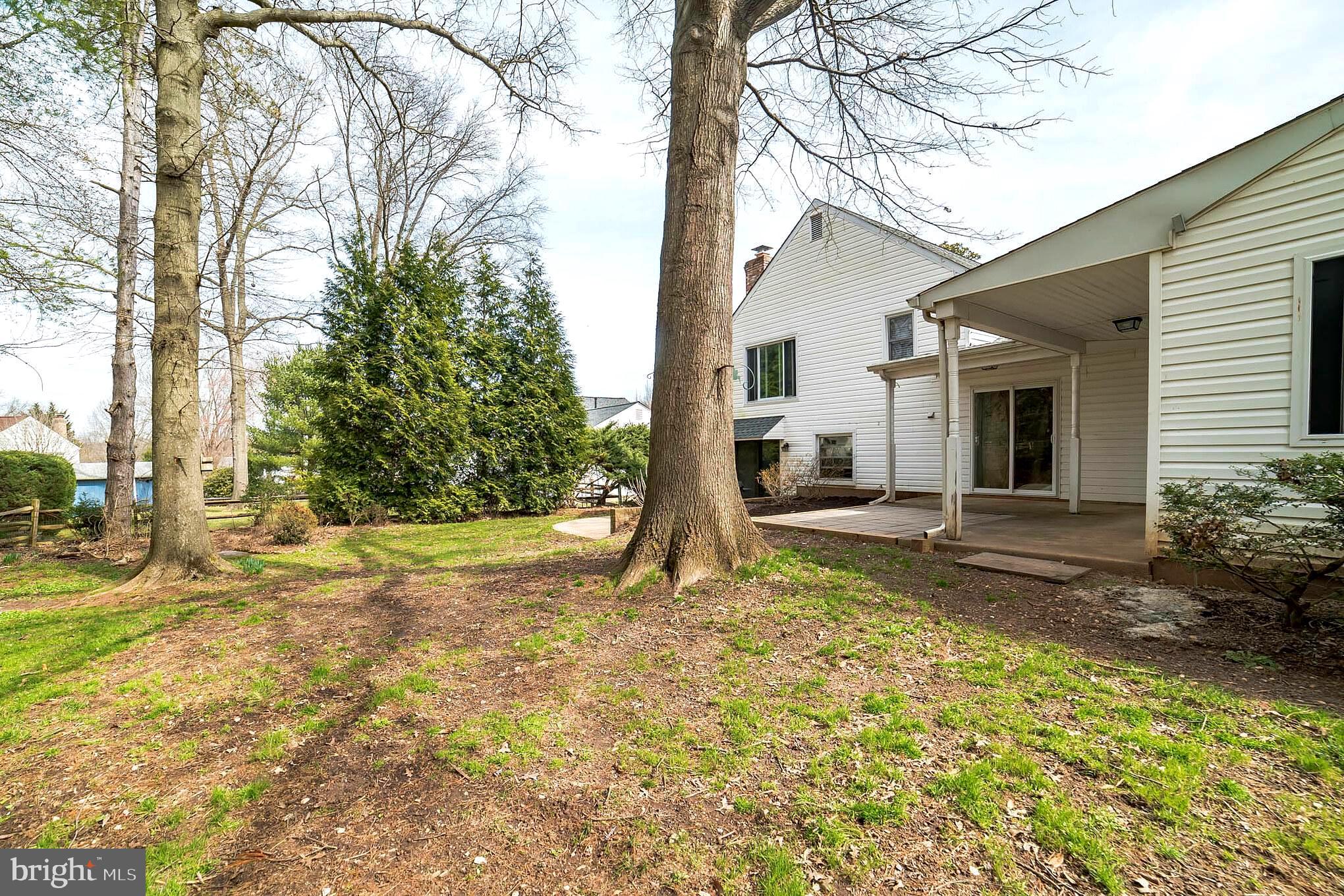 2413 Countryside Drive Silver Spring, MD 20905 - Photo 27 of 30 Large Backyard