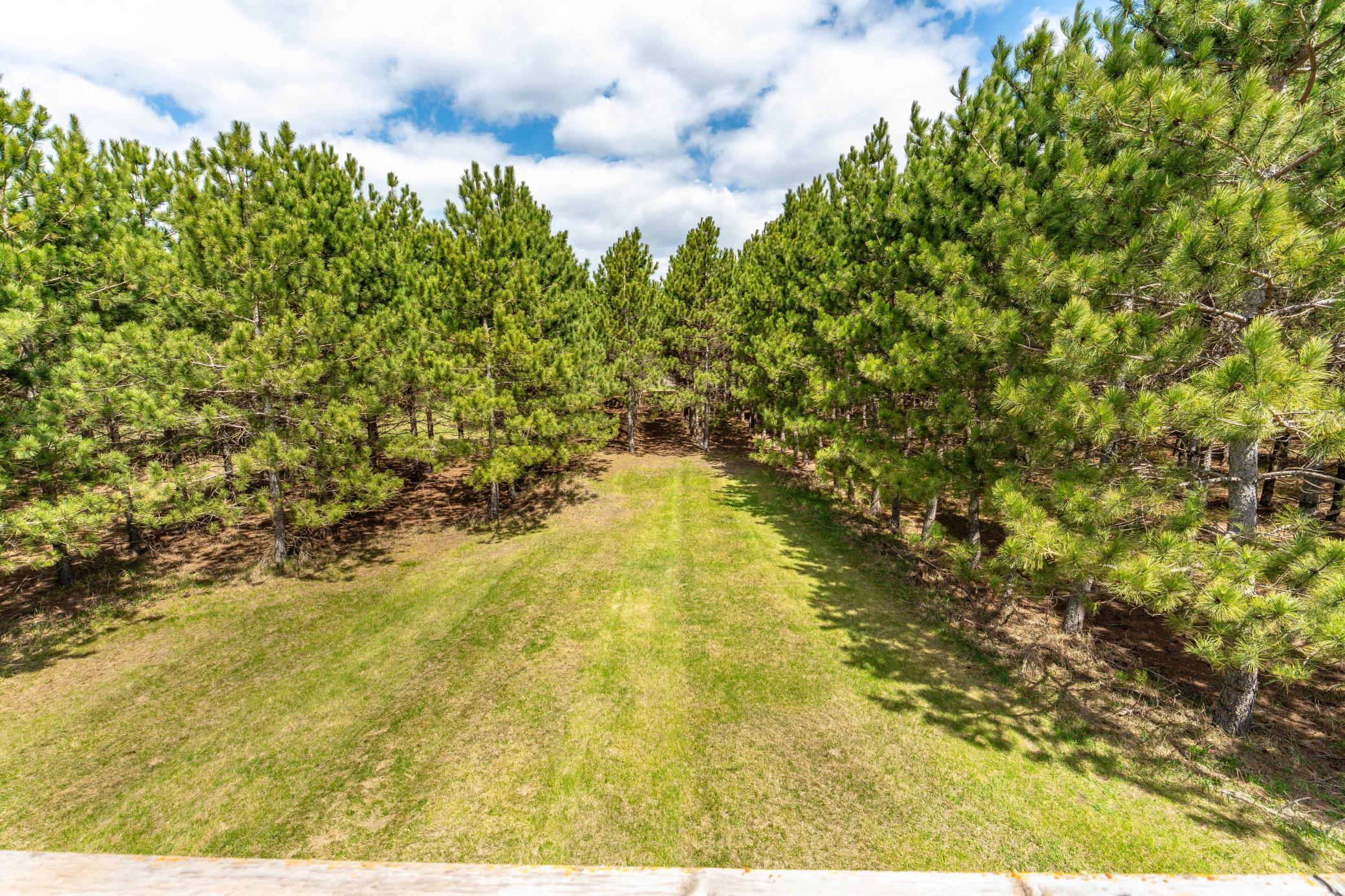 47500 Co Highway 51 Perham, MN 56573 - Photo 26 of 96