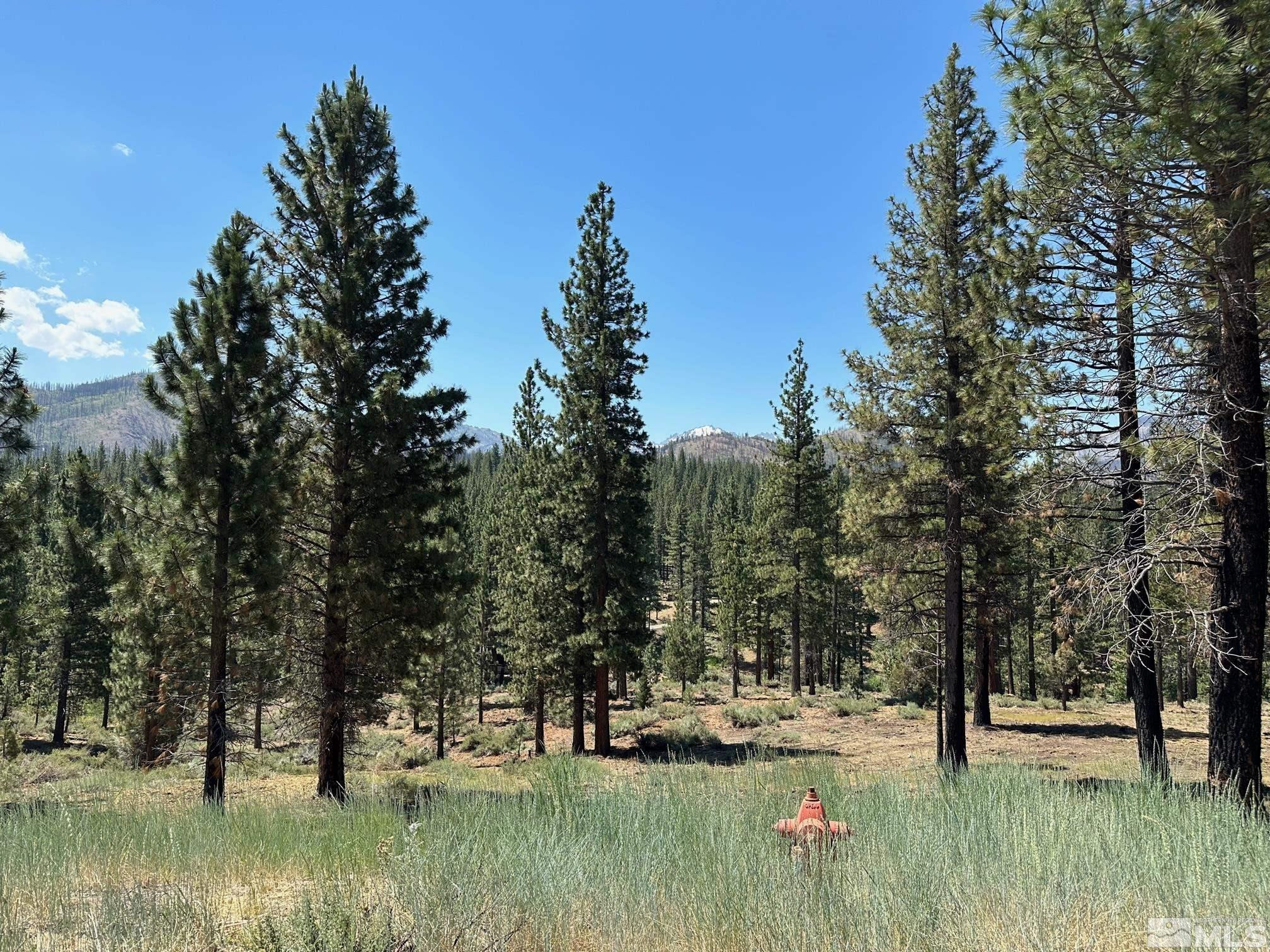 Lot 2 Raymond View, Unit 2 Markleeville, CA 96120 - Photo 4 of 12 a view of yard