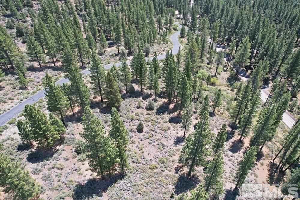 Lot 2 Raymond View, Unit 2 Markleeville, CA 96120 - Photo 6 of 12 a view of a forest with trees