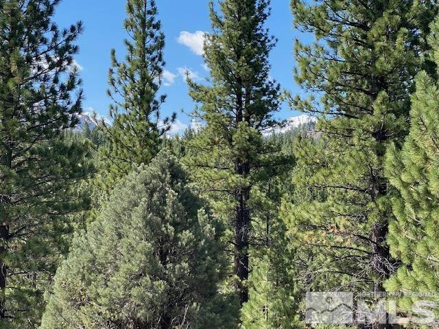 Lot 2 Raymond View, Unit 2 Markleeville, CA 96120 - Photo 10 of 12 view of a tree