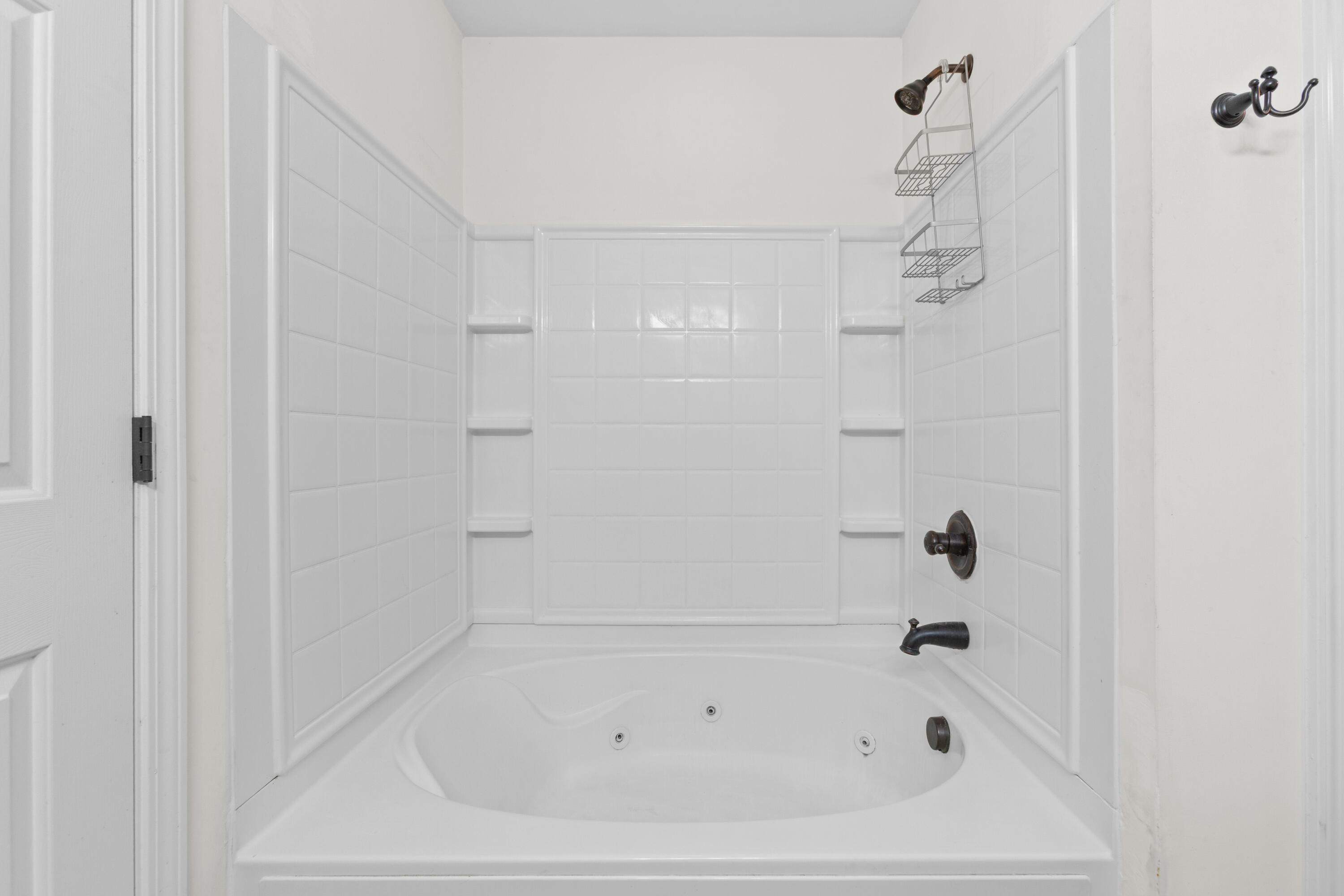 256 Woodbrook Way Moncks Corner, SC 29461 - Photo 19 of 28 256Woodbrook.NicoleBurbagePhoto-16