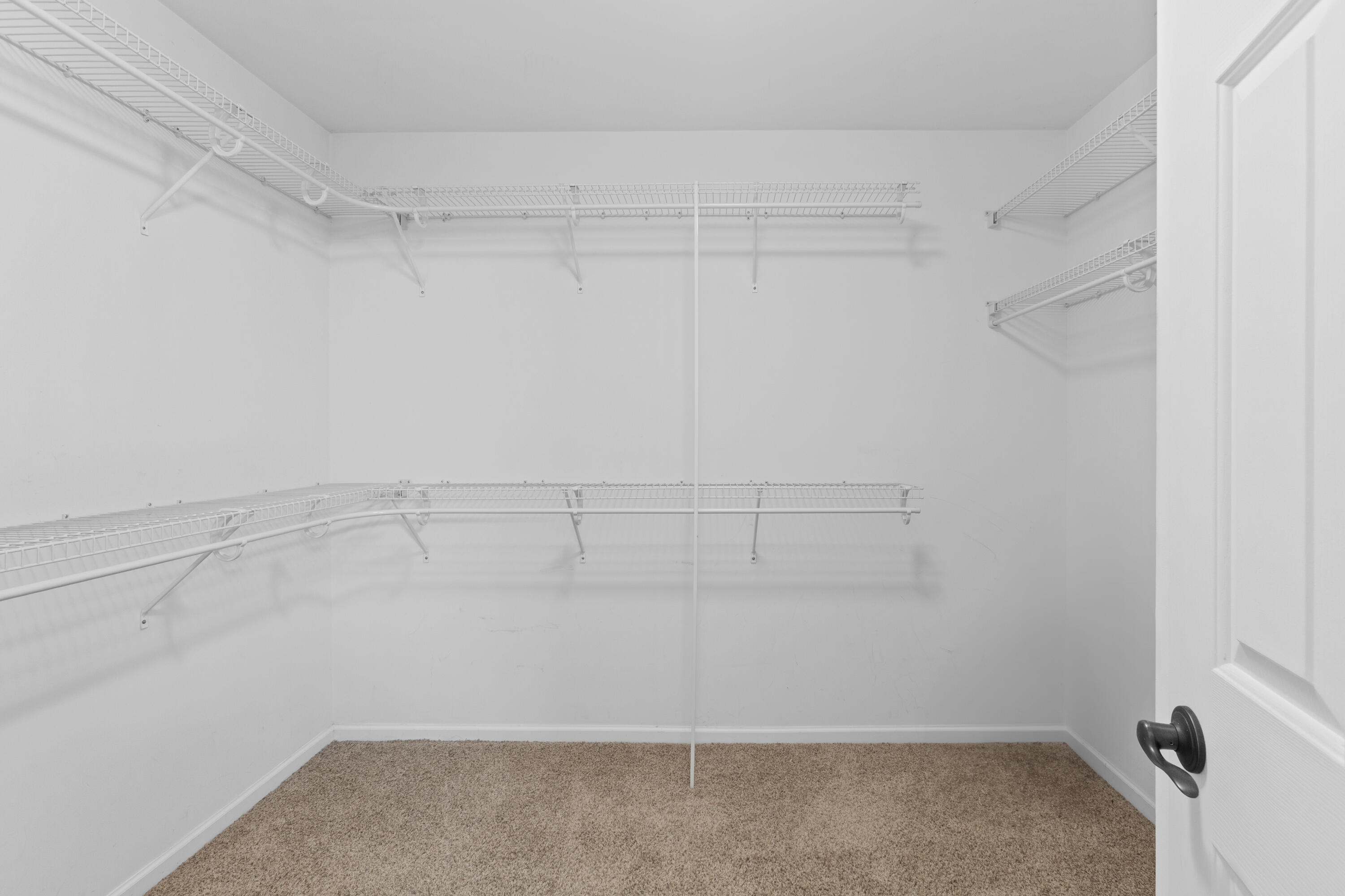 256 Woodbrook Way Moncks Corner, SC 29461 - Photo 20 of 28 256Woodbrook.NicoleBurbagePhoto-17