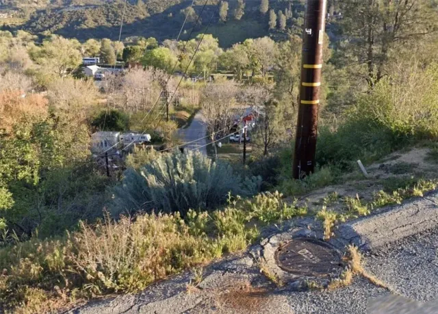 a view of a garden with flowers
