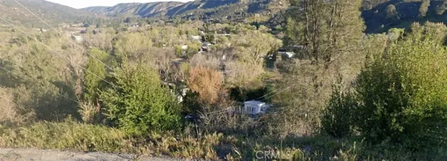 a view of a lush green forest with lots of trees