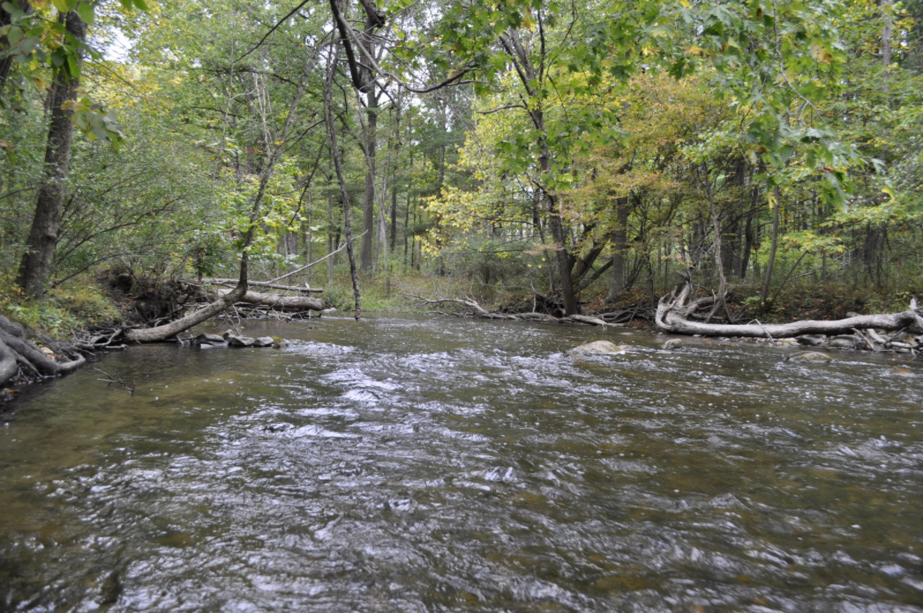 Par A Muskrat Road Gowen, MI 49326 - Photo 10 of 13 _DSC0013