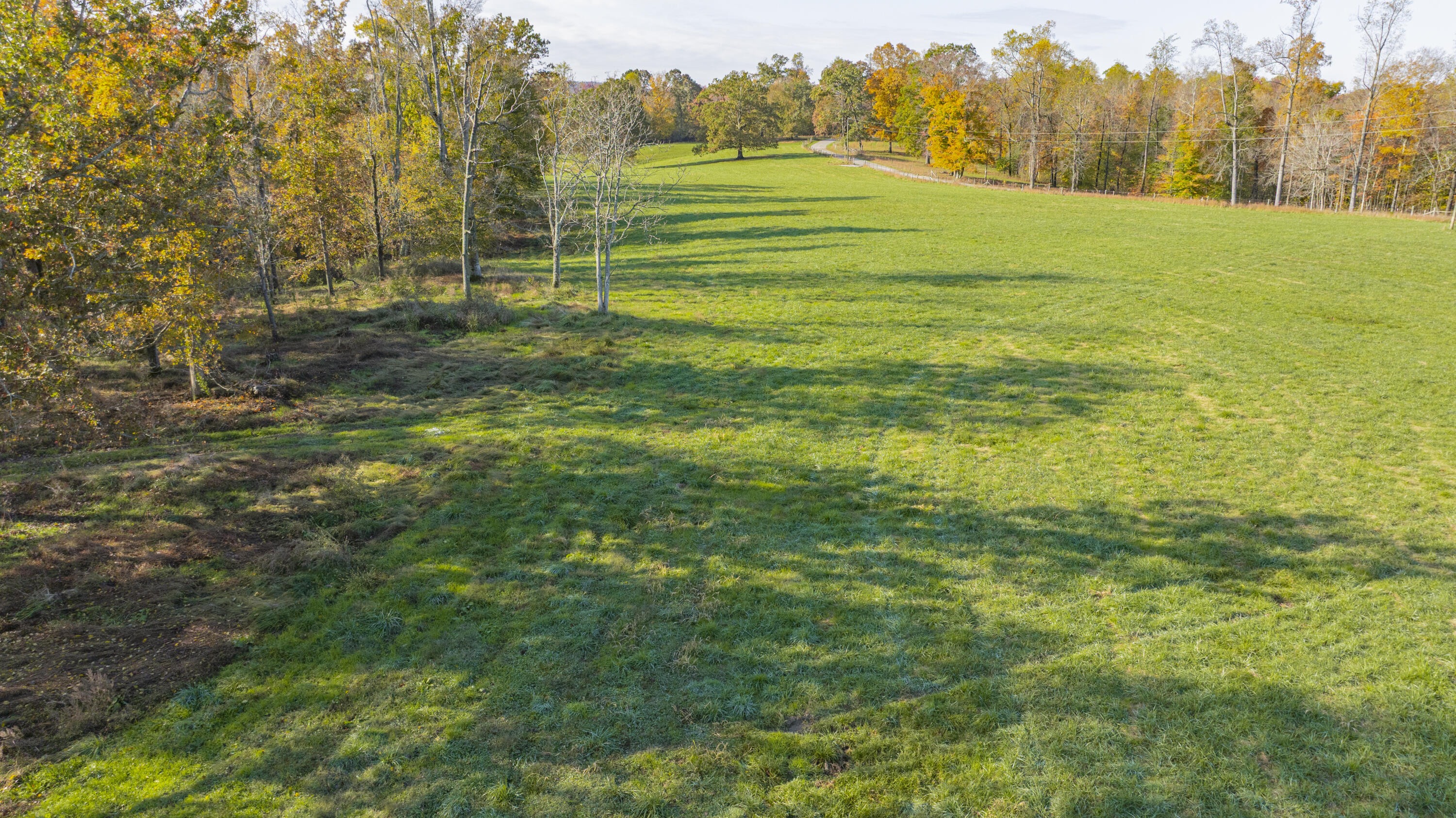 2595 Twyfords Point Road Monticello, KY 42633 - Photo 11 of 19 2595 Twyfords Point-13