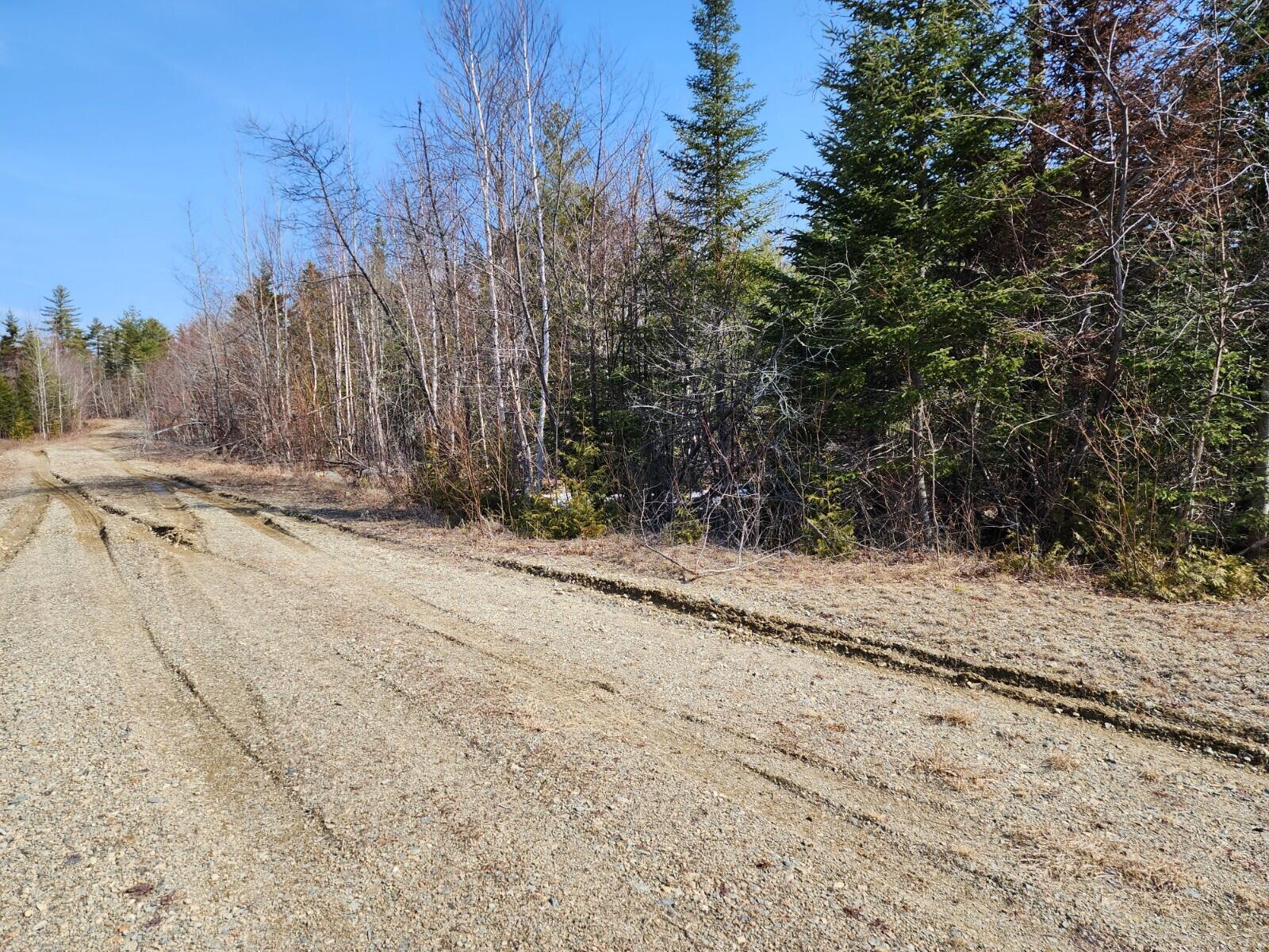 Parcel I Parcel I Birch Point Road Cooper, ME 04657 - Photo 12 of 13 20230411_095915
