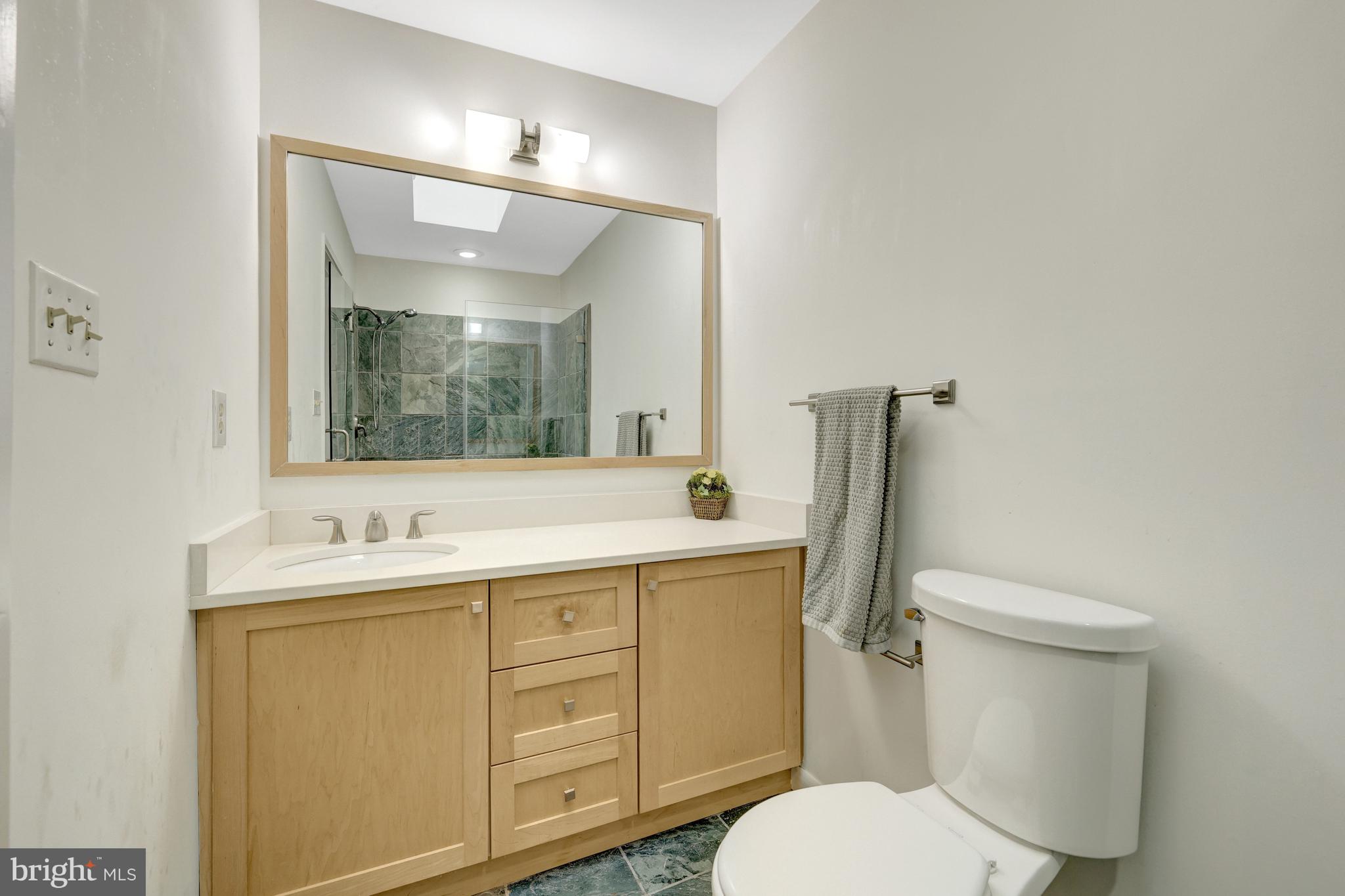 1752 Wainwright Drive Reston, VA 20190 - Photo 25 of 51 Beautiful updated Primary Bathroom with skylight