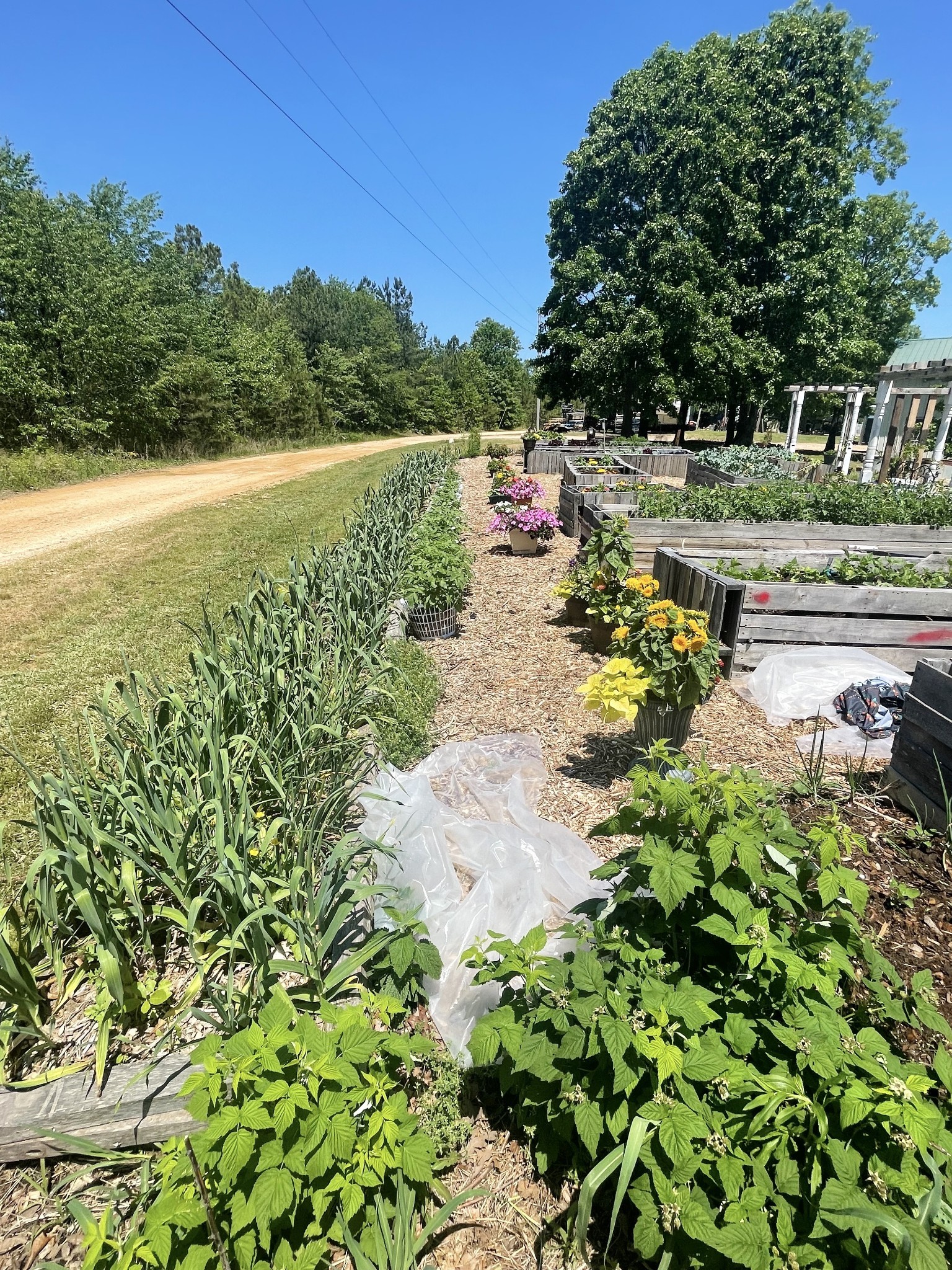 126 Yoder Lane Summertown, TN 38483 - Photo 42 of 69 a view of a lake with a yard