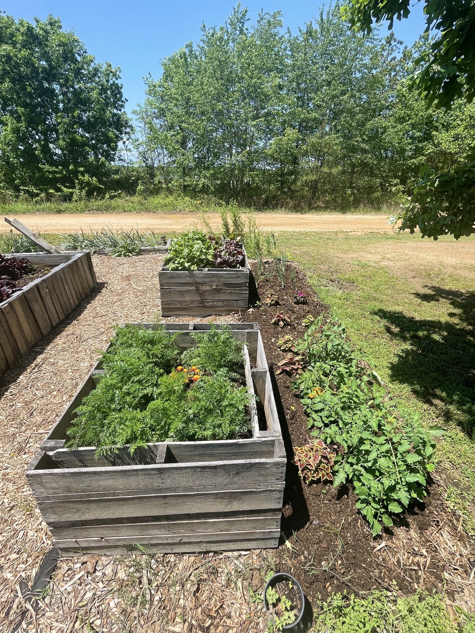 126 Yoder Lane Summertown, TN 38483 - Photo 43 of 69