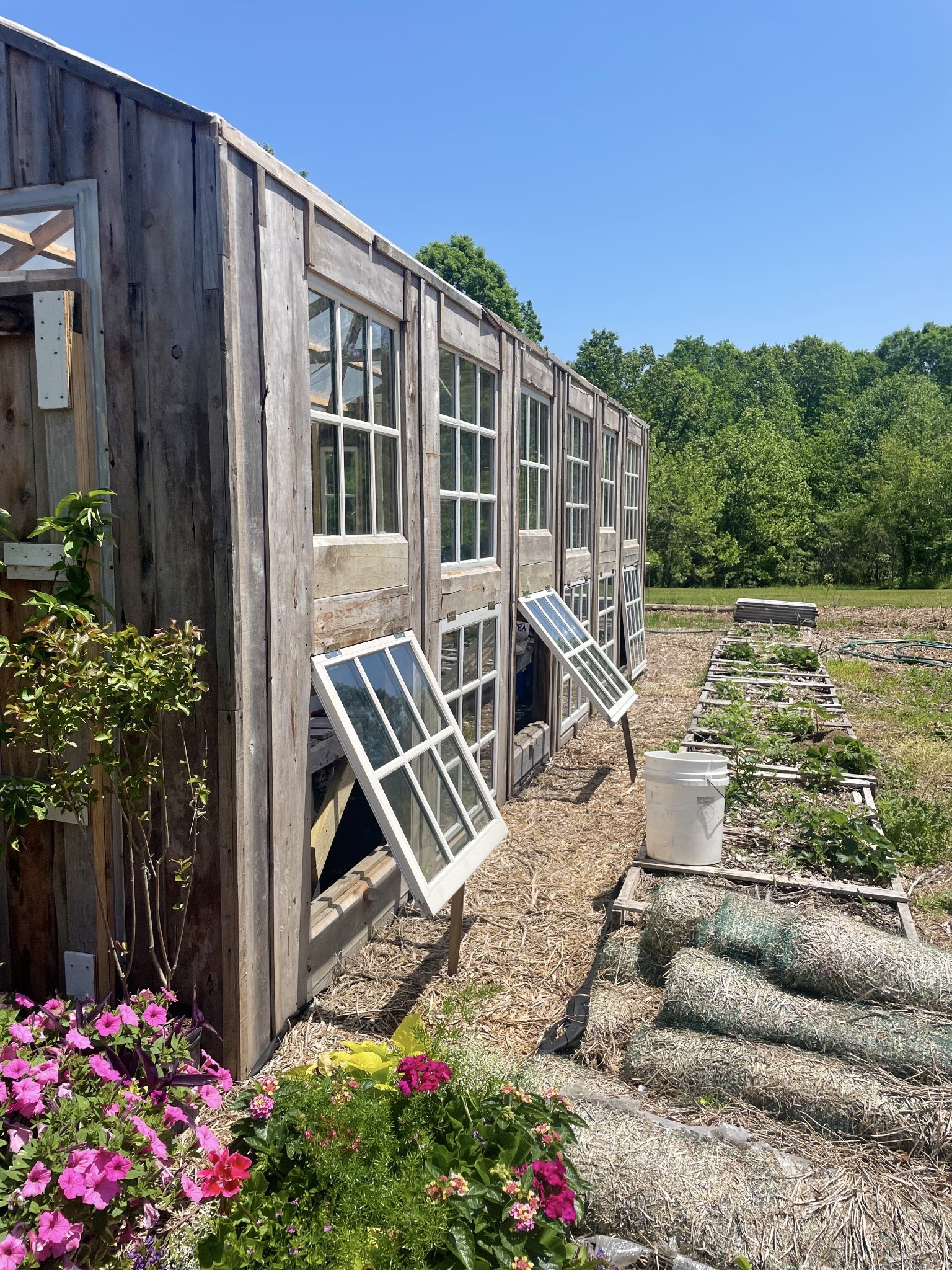 126 Yoder Lane Summertown, TN 38483 - Photo 46 of 69 a view of a patio with couches table and chairs and potted plants