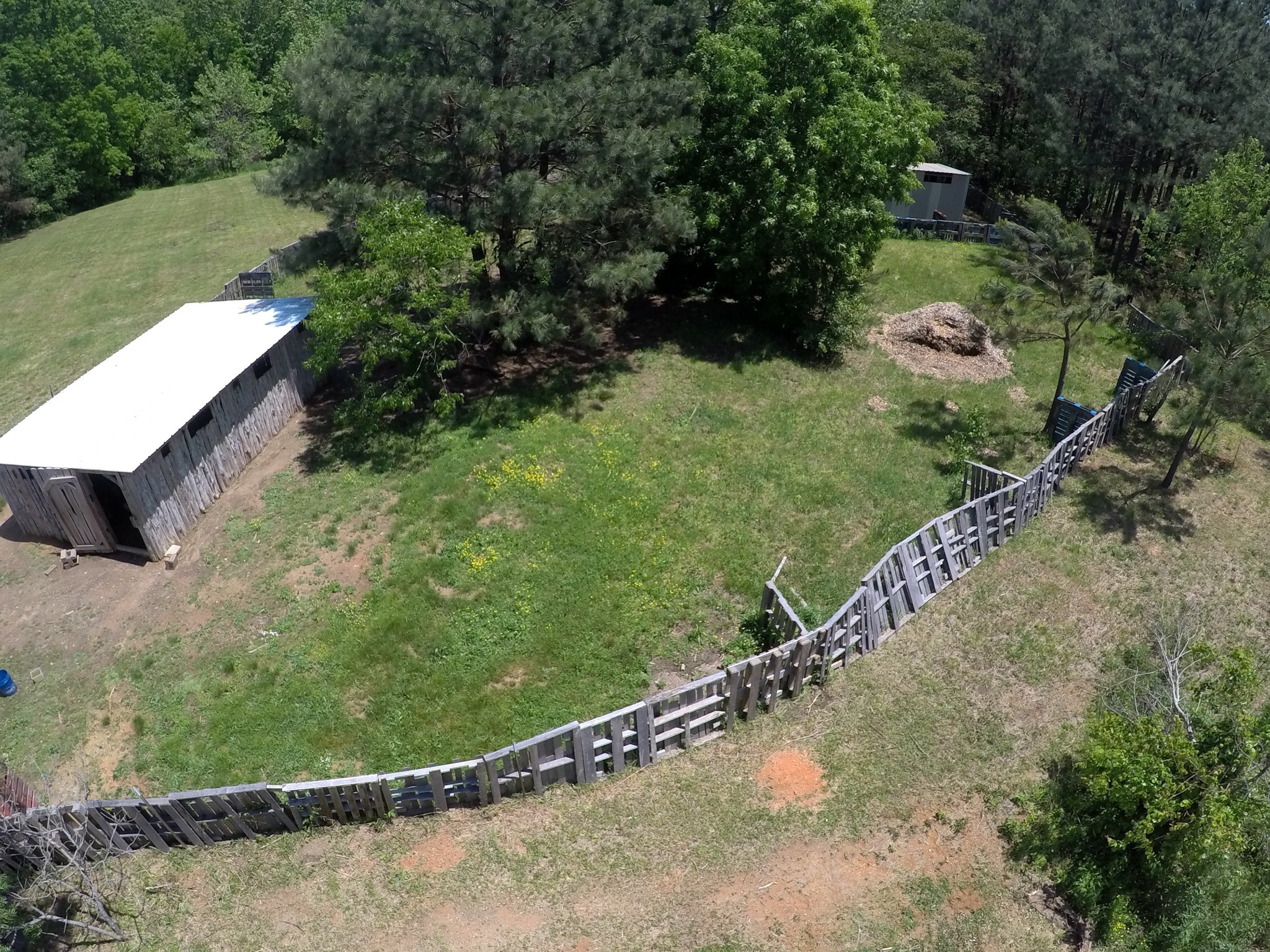 126 Yoder Lane Summertown, TN 38483 - Photo 62 of 69 a view of a yard with potted plants