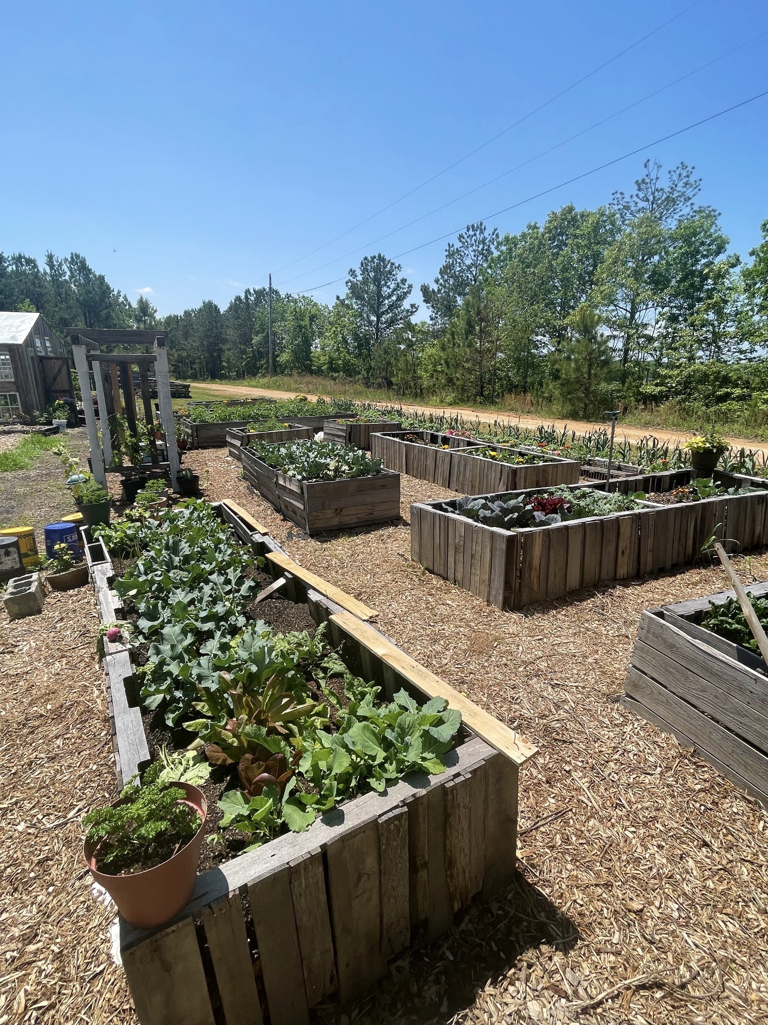 126 Yoder Lane Summertown, TN 38483 - Photo 7 of 69 a view of a yard with wooden fence