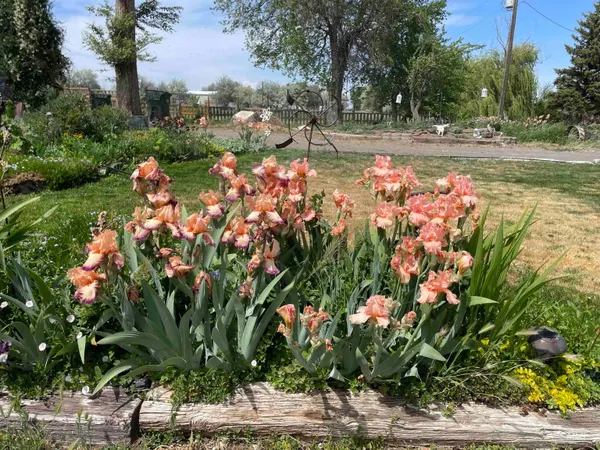 $330,000 | 4343 North 1200 East, Buhl, ID 83316