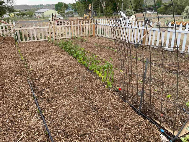 $330,000 | 4343 North 1200 East, Buhl, ID 83316