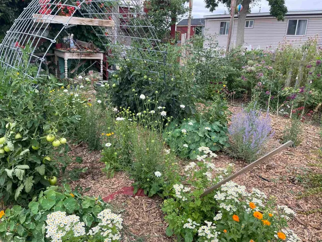 $330,000 | 4343 North 1200 East, Buhl, ID 83316