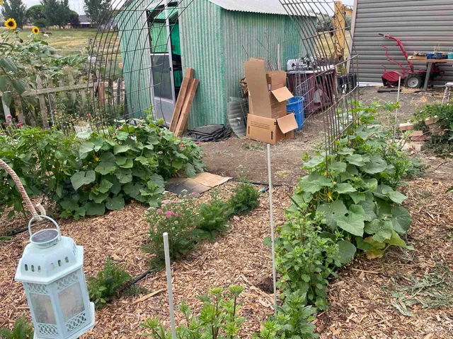 $330,000 | 4343 North 1200 East, Buhl, ID 83316