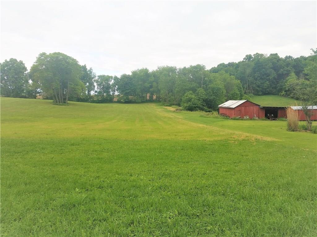 122 Cubbage Lane Butler, PA 16001 - Photo 24 of 25 Wonderful large pastures for animals, crops or just recreation or hunting.
