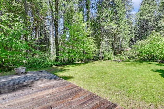 a backyard of a house with lots of green space and trees