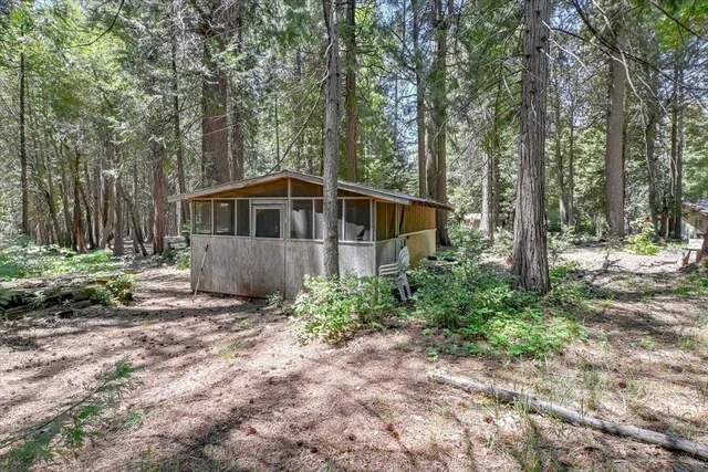 a view of a backyard with large trees and wooden fence