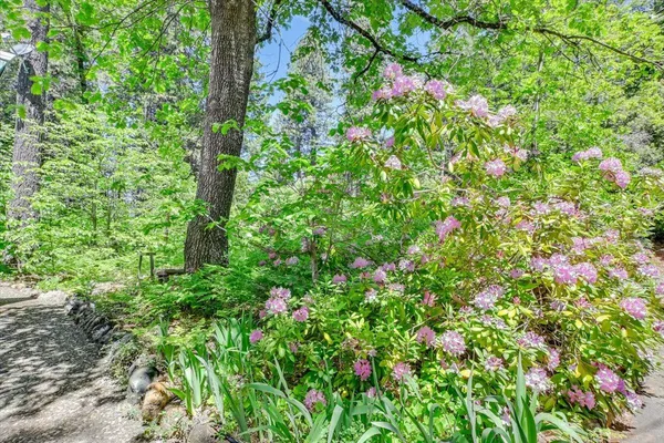 $249,000 | 11306 Winding Way, Clipper Mills, CA 95930