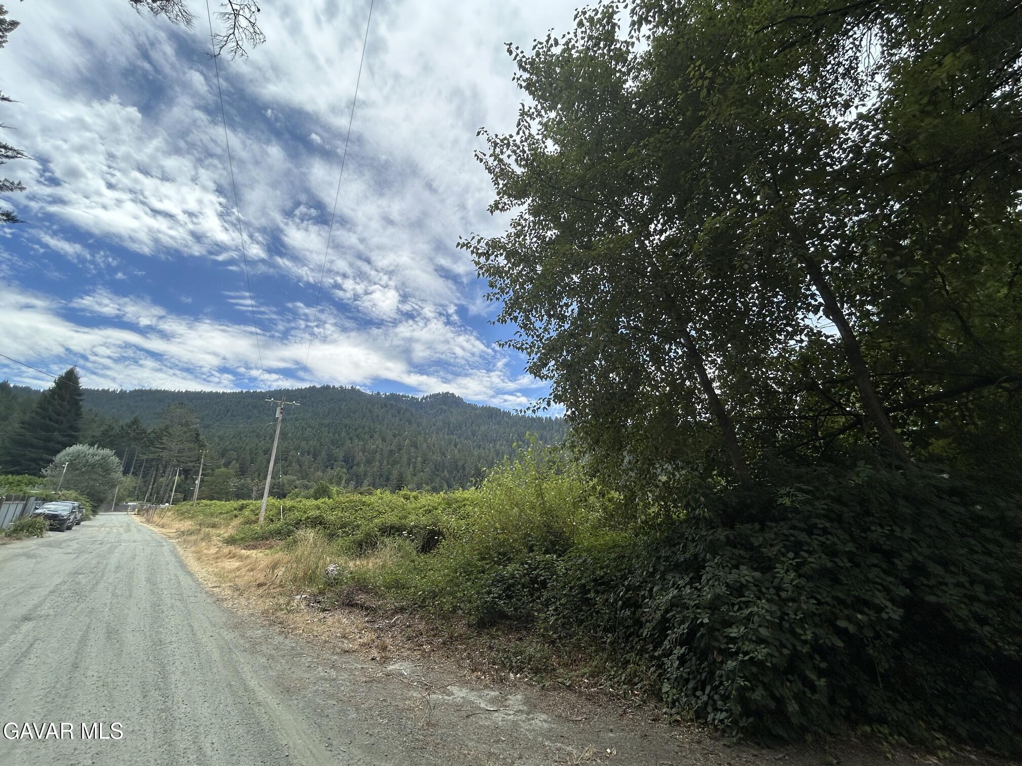 774 Boy Scout Road Myers Flat, CA 95554 - Photo 14 of 20 image5 (3)