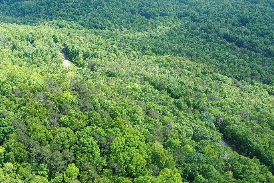 25 Bluffs Road North Guild, TN 37340 - Photo 25 of 25 Gallery Image 25