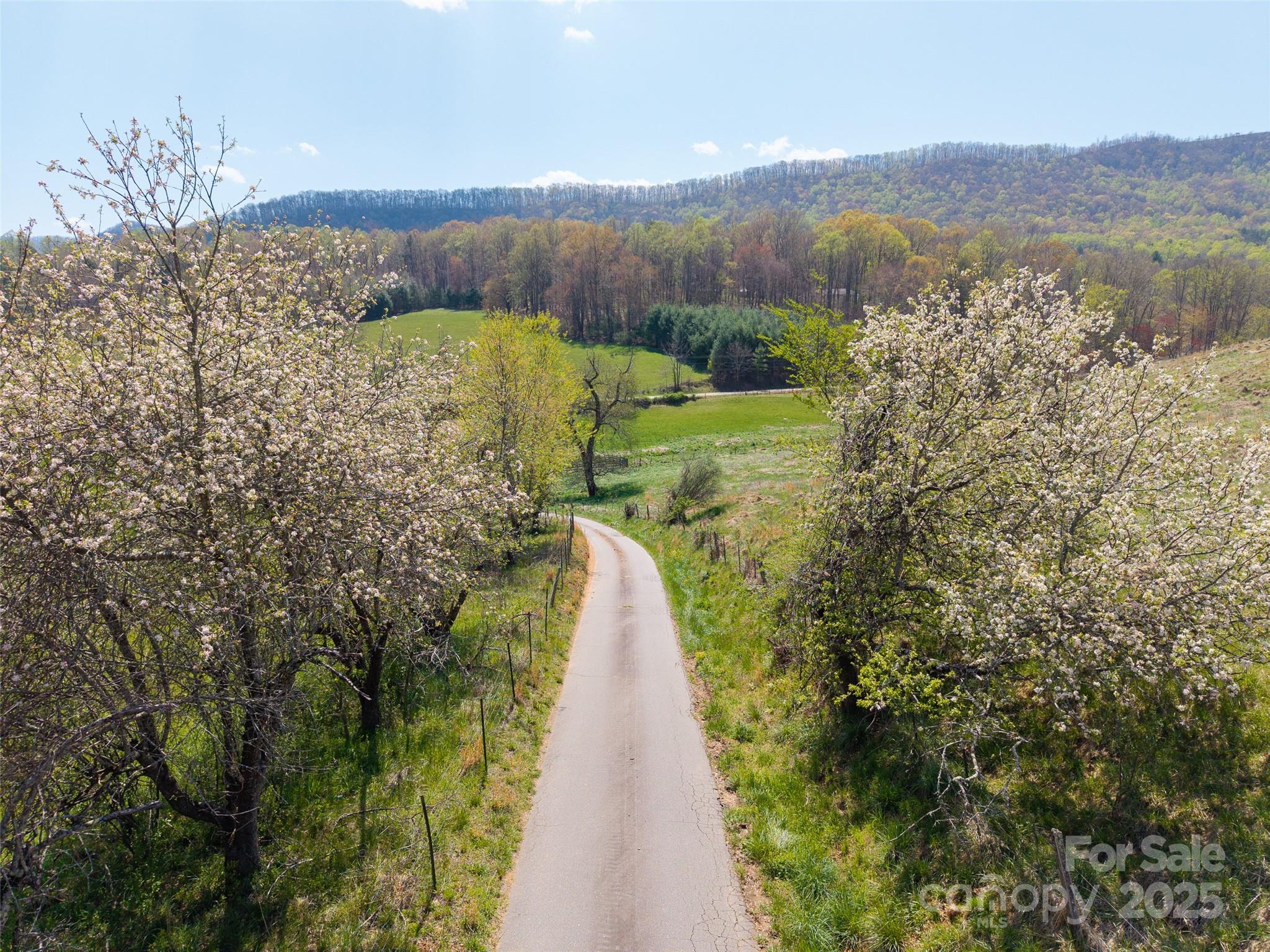 435 Upper Glady Fork Road Candler, NC 28715 - Photo 11 of 47 a view of a pathway with a garden
