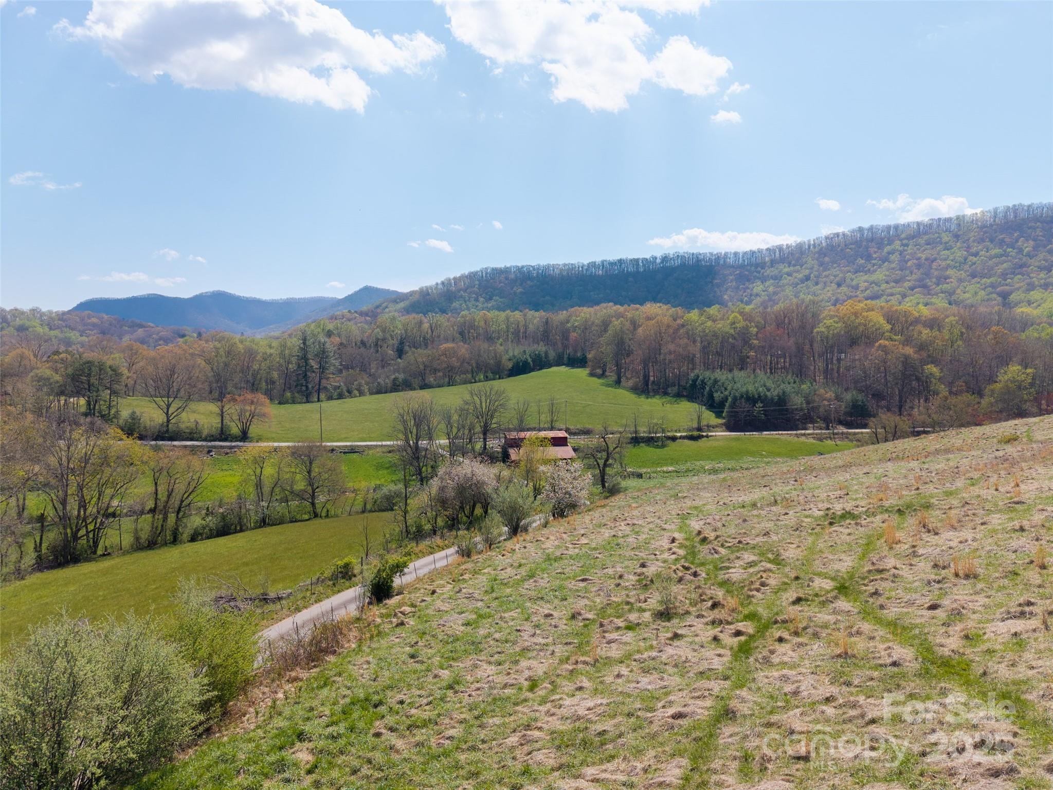 435 Upper Glady Fork Road Candler, NC 28715 - Photo 10 of 47 a view of a green field with mountains in the background