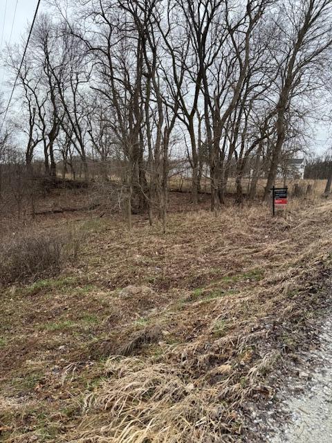 V/l West Peck Lake Road Lowell, MI 49331 - Photo 2 of 5 IMG_0183