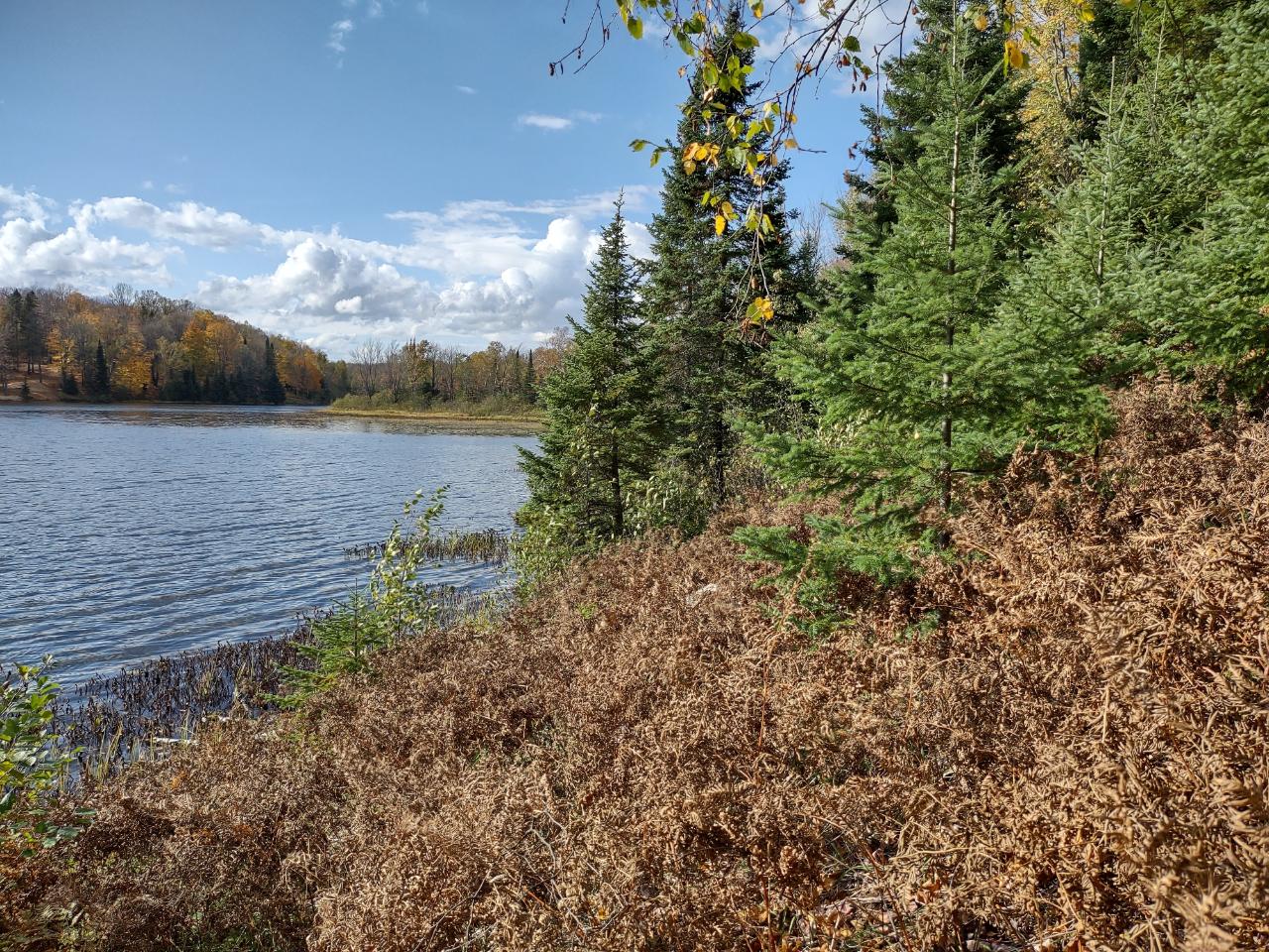 Near Pomeroy Lk Road, Unit 28 Marenisco, MI 49947 - Photo 12 of 13 Gallery Image 12