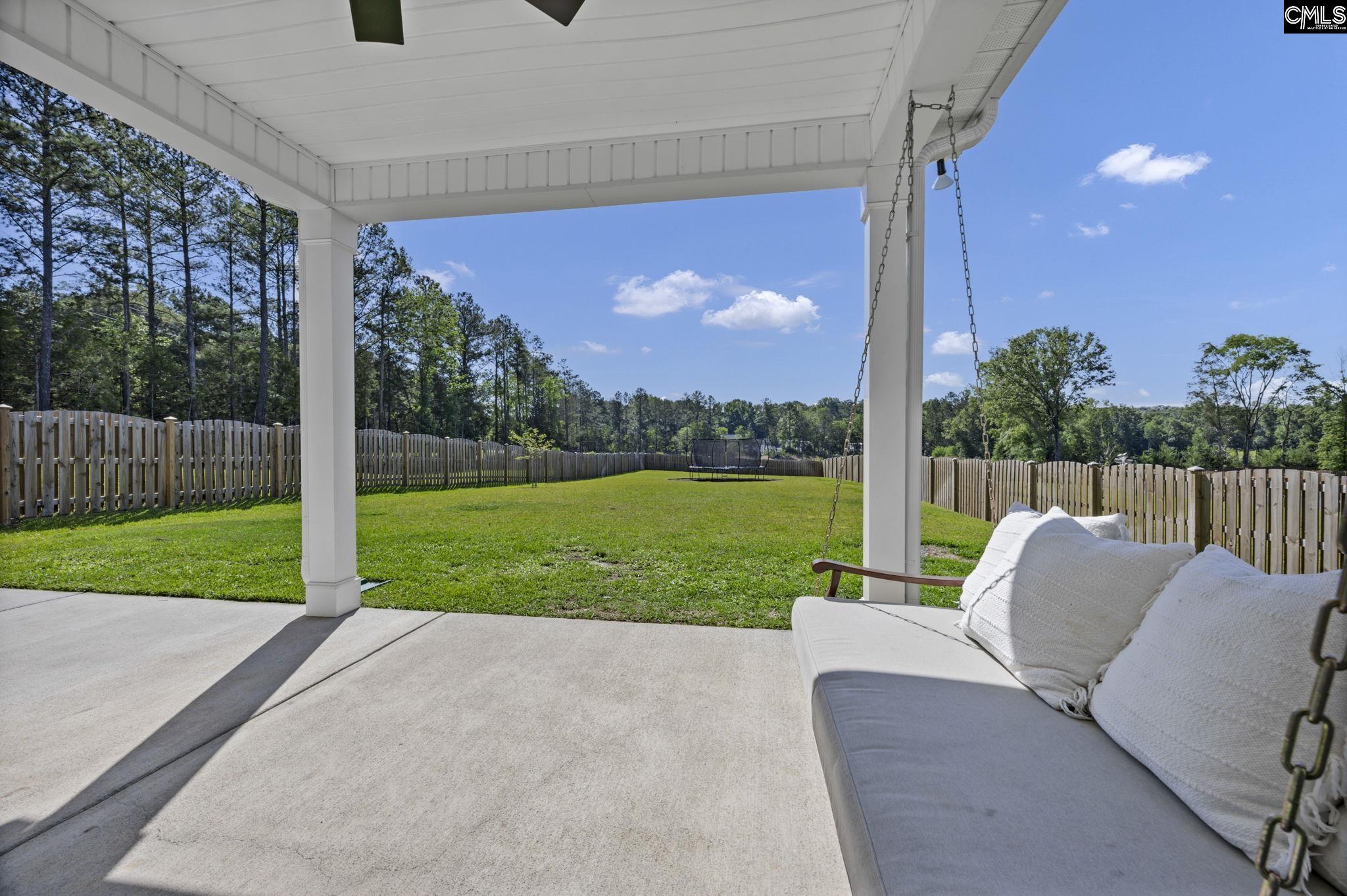 209 Chapin Pl Way Chapin, SC 29036 - Photo 44 of 53