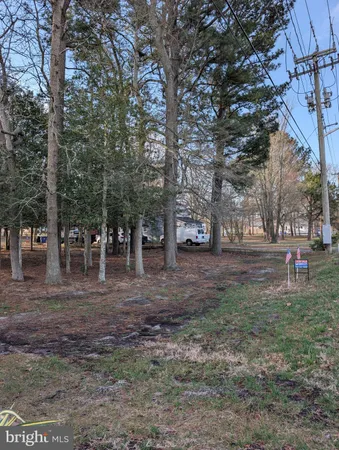 a childrens park with lots of trees