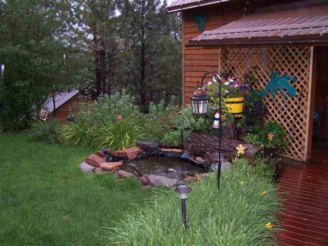 4 County Road 2052 Alpine, AZ 85920 - Photo 8 of 9