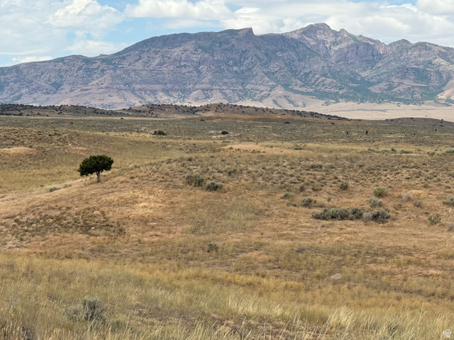 16 Old Dam Road, Unit 16 Levan, UT 84639 - Photo 7 of 9