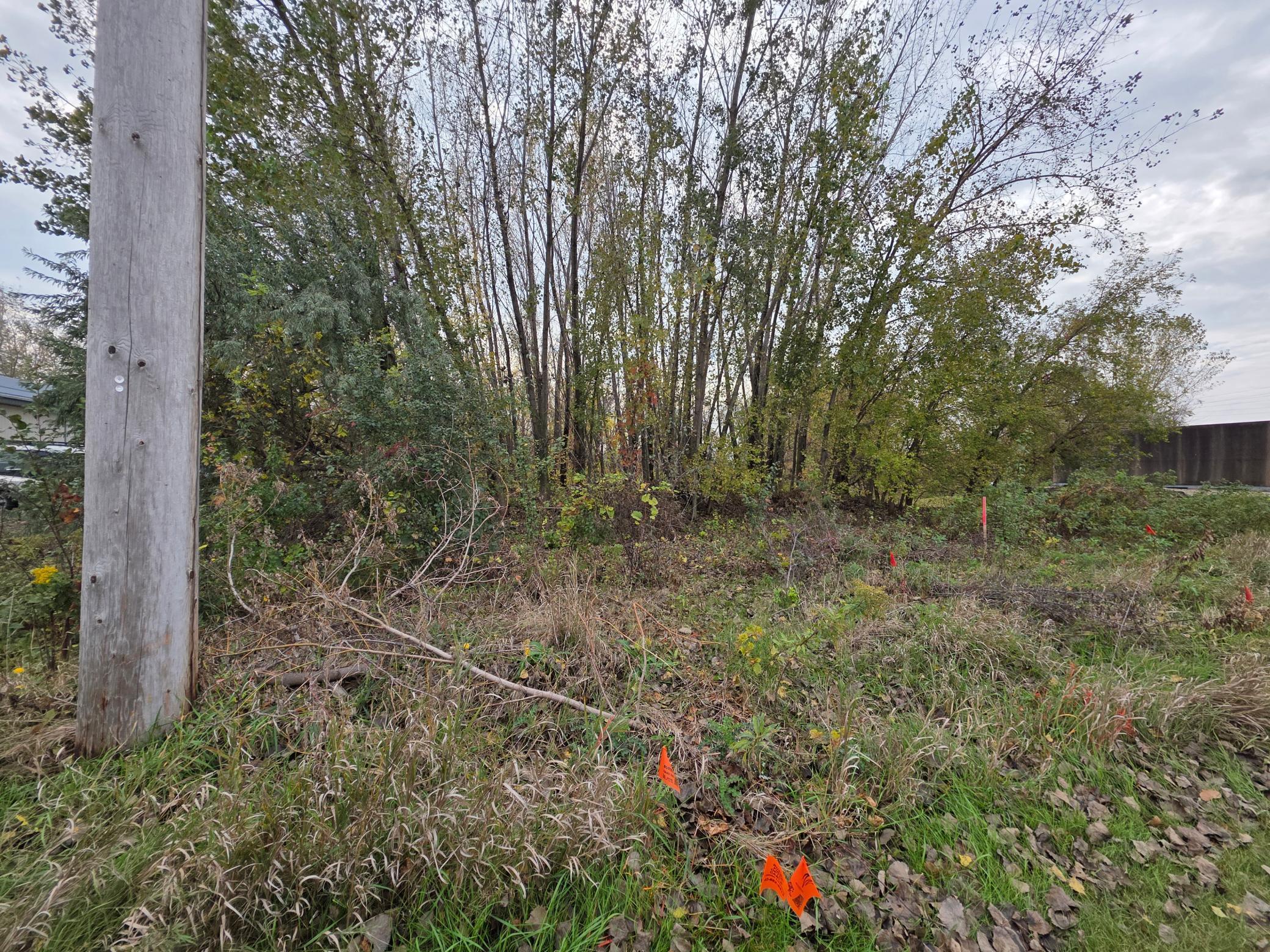 1400 High Avenue Northeast Willmar, MN 56201 - Photo 4 of 6