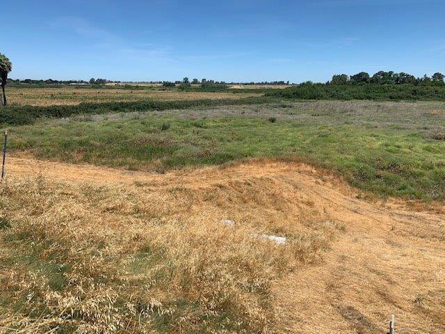 0 West Brannan Island Road Isleton, CA 95641 - Photo 5 of 8