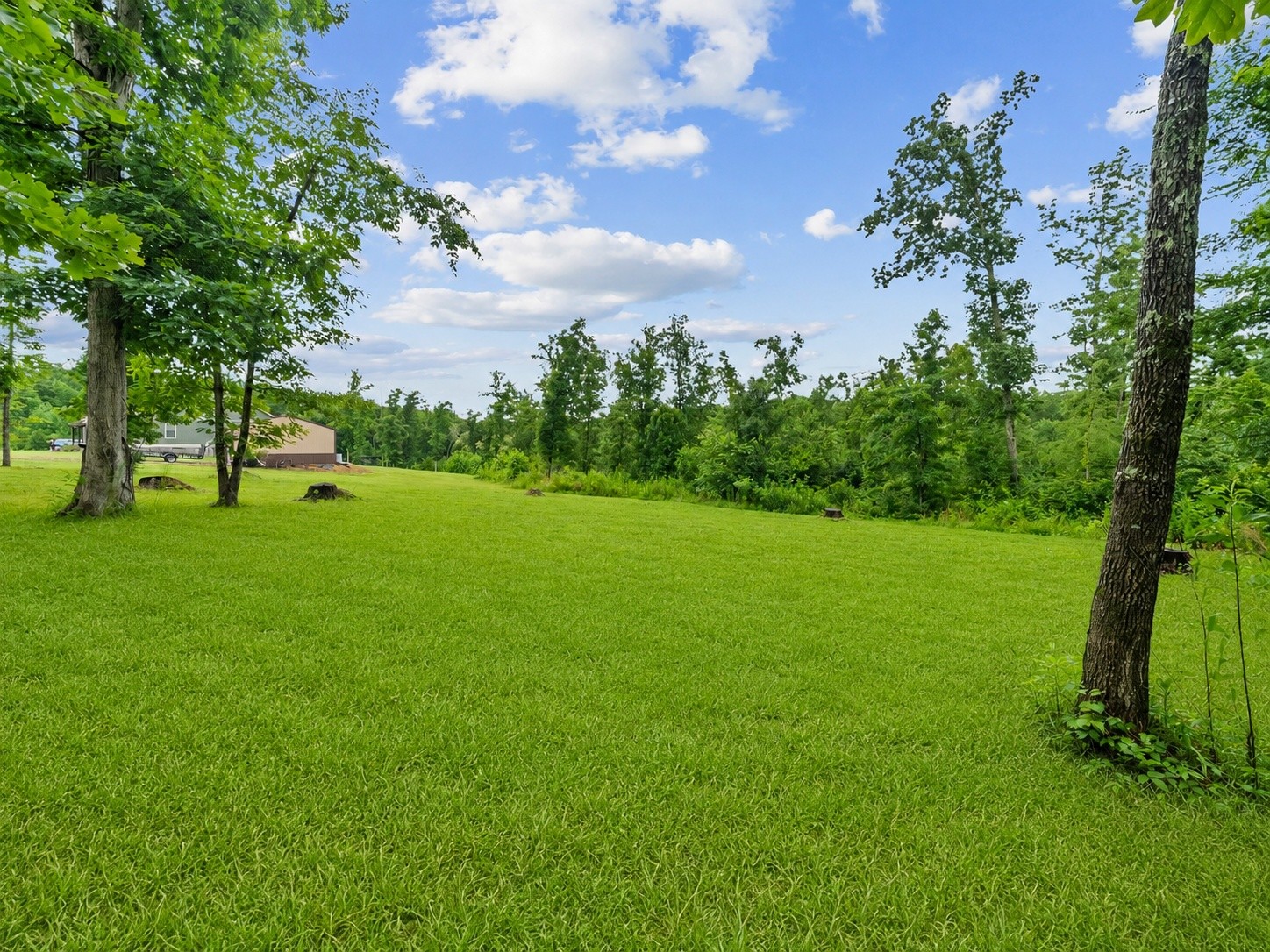217 Rockhouse Road Hohenwald, TN 38462 - Photo 72 of 78