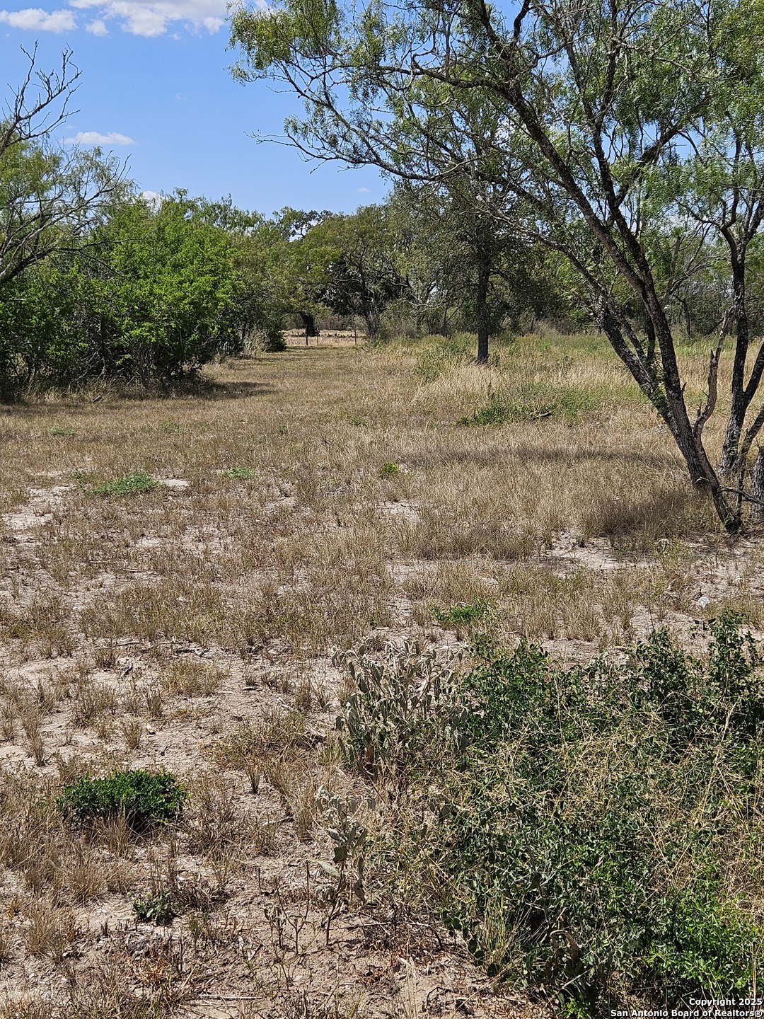 0 Good Luck Seguin, TX 78155 - Photo 11 of 14 a view of dirt field with trees in the background