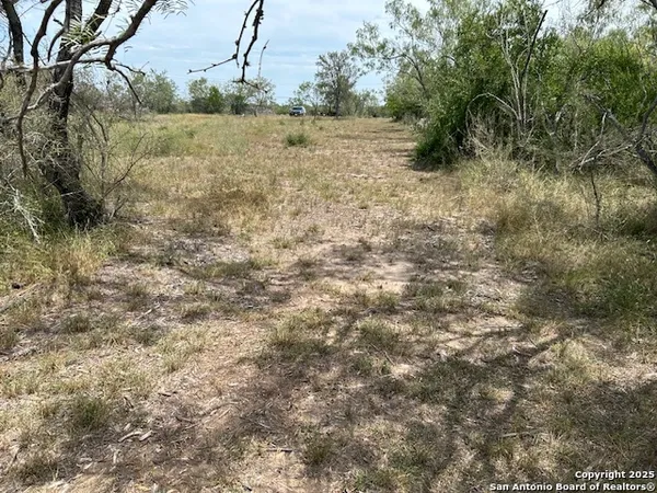 a view of a field with trees