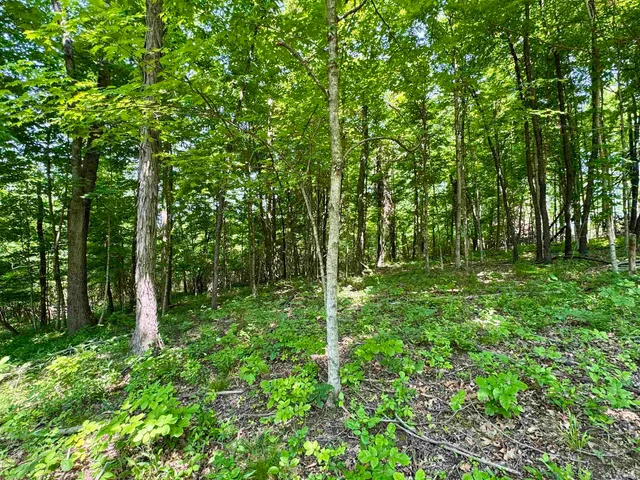 $221,000 | 2 East East State Road 56, Paoli, IN 47454